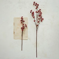 Hello Honey® 36" Red Long Faux Berry Stem