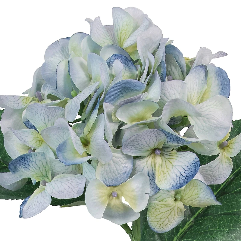 12 Pack: Blue & Green Hydrangea Stem by Ashland®