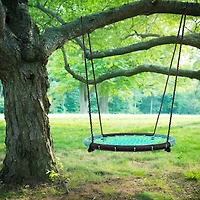 Toy Time 40" Spider Web Tree Swing