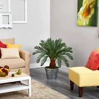 3.5ft. Cycas Tree in Decorative Tin Bucket