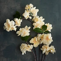 Cream Apple Blossom Branch Stem by Ashland®