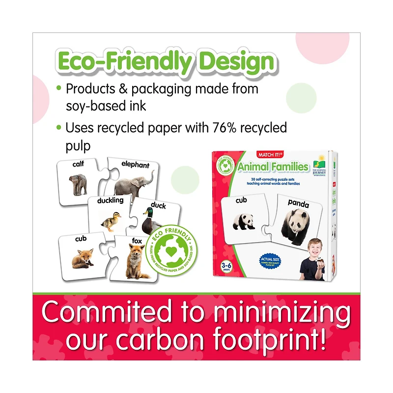 Match It! - Animal Families