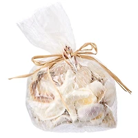 U.S. Shell Light Shell Mix with Starfish Gift Pack