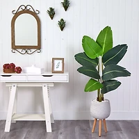 5ft. Travelers Palm Artificial Tree in White Planter with Stand