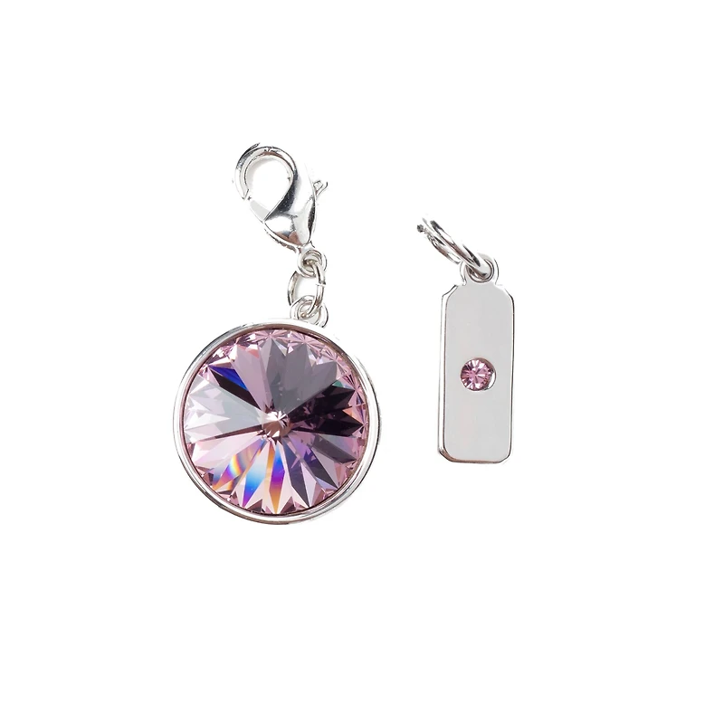 Austrian Crystal Birth Month Charm Set by Bead Landing