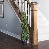 3ft. Potted Boxwood Spiral Tree