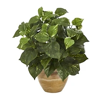 14" Pothos Plant in Ceramic Planter