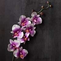 12 Pack: Pink & White Orchid Spray by Ashland®