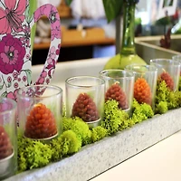 SuperMoss® Preserved Reindeer Moss