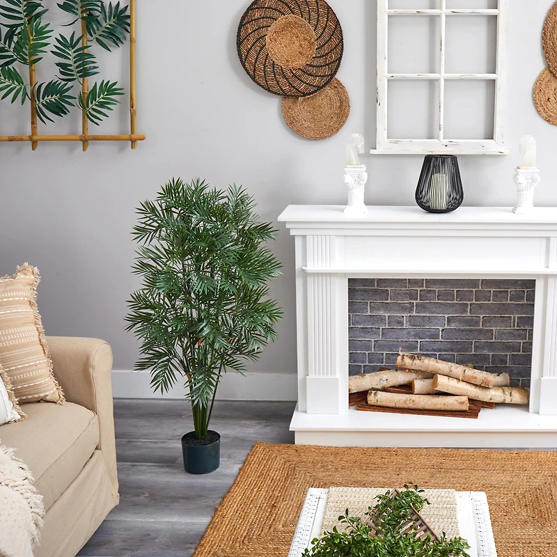 4ft. Potted Parlour Palm Tree