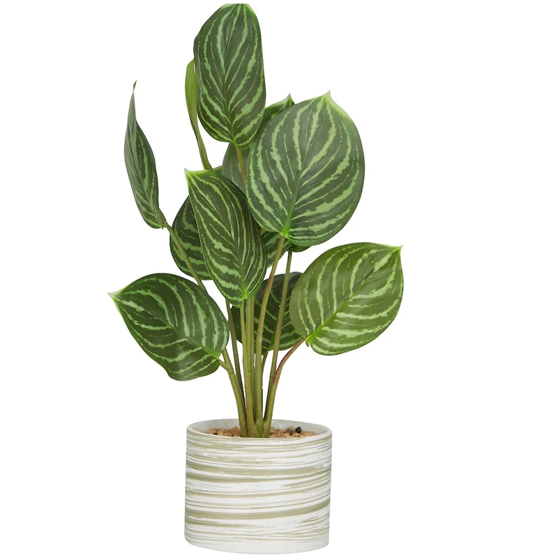 The Novogratz 16" Green Faux Foliage Calathea Artificial Plant in Porcelain Pot