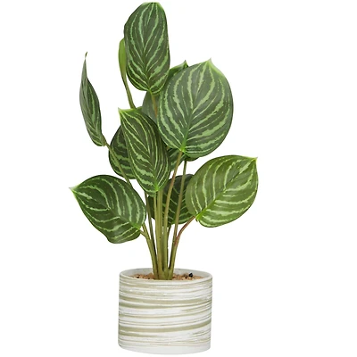 The Novogratz 16" Green Faux Foliage Calathea Artificial Plant in Porcelain Pot