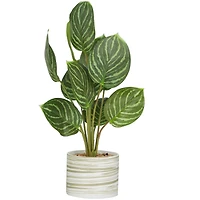 The Novogratz 16" Green Faux Foliage Calathea Artificial Plant in Porcelain Pot