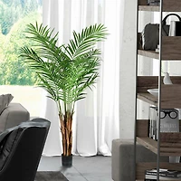 5ft. Potted Giant Areca Palm Tree
