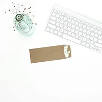 JAM Paper 9.5" x 4.125" Kraft Brown Business Envelopes with Button & String Closure, 25ct.