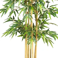 5.3ft. Potted Bamboo Tree