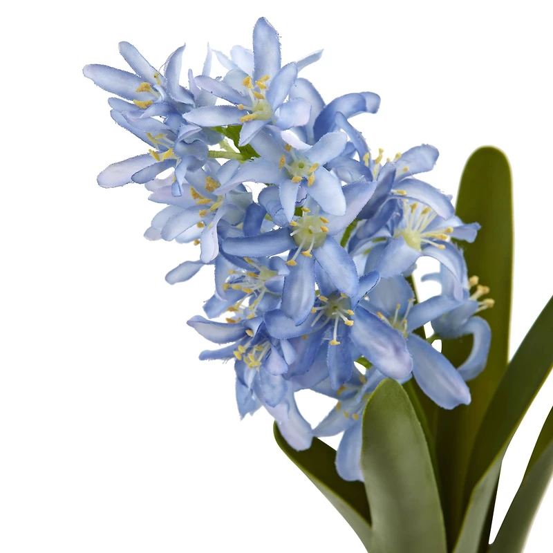 Blue Hyacinth Stem, 4ct.