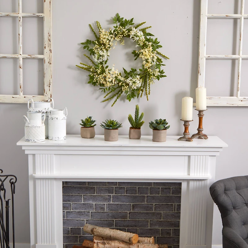 6" Potted Mixed Succulent Plants, 4ct.