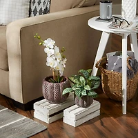 Deco Leaf Cement Flower Pot Set