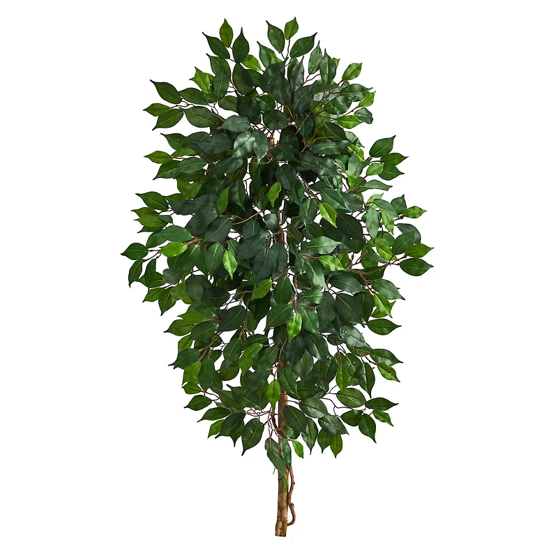4ft. Single Ficus Tree