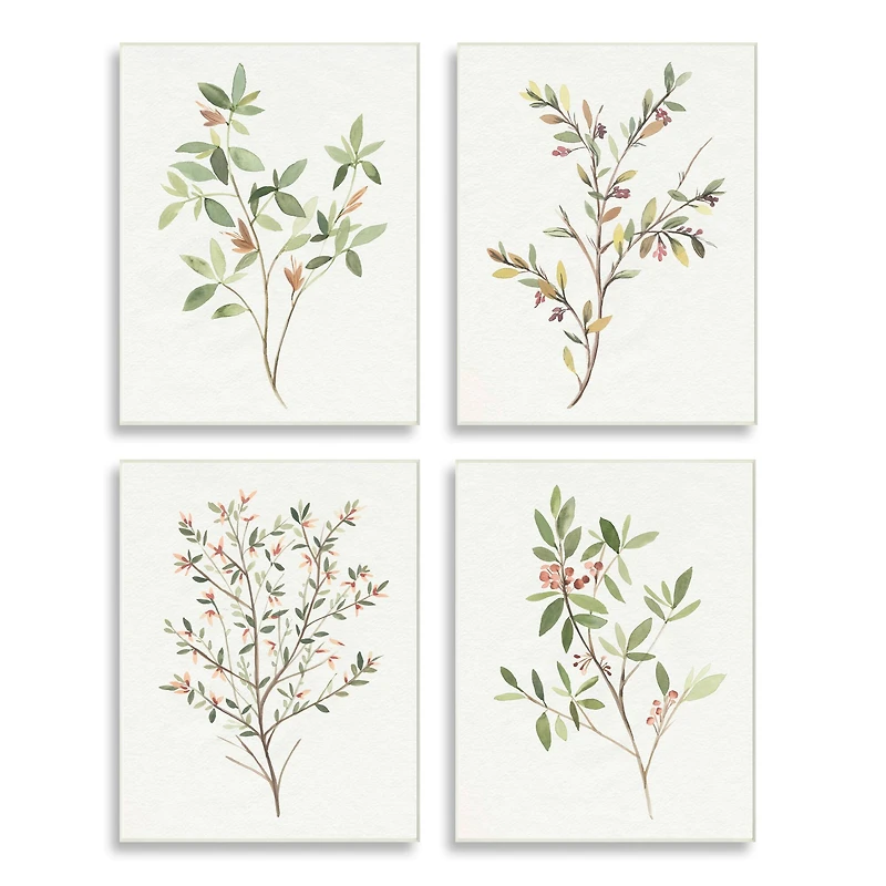 Stupell Industries Soft Farmhouse Botanicals Charming Wild Foliage Plant Illustration Wall Plaque