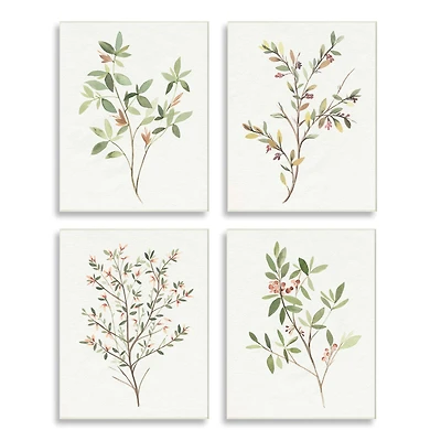 Stupell Industries Soft Farmhouse Botanicals Charming Wild Foliage Plant Illustration Wall Plaque