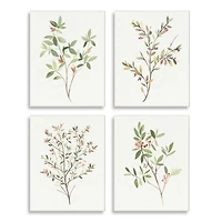 Stupell Industries Soft Farmhouse Botanicals Charming Wild Foliage Plant Illustration Wall Plaque