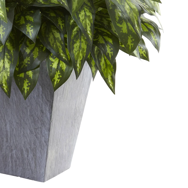 37" Silver King Plant with Slate Planter