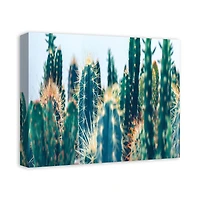 Cacti Garden 20" x 16" Canvas Wall Art