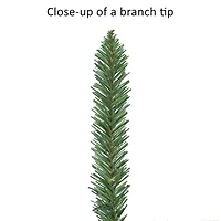 7ft. Pre-Lit Carson Artificial Pine Tree, Clear Lights