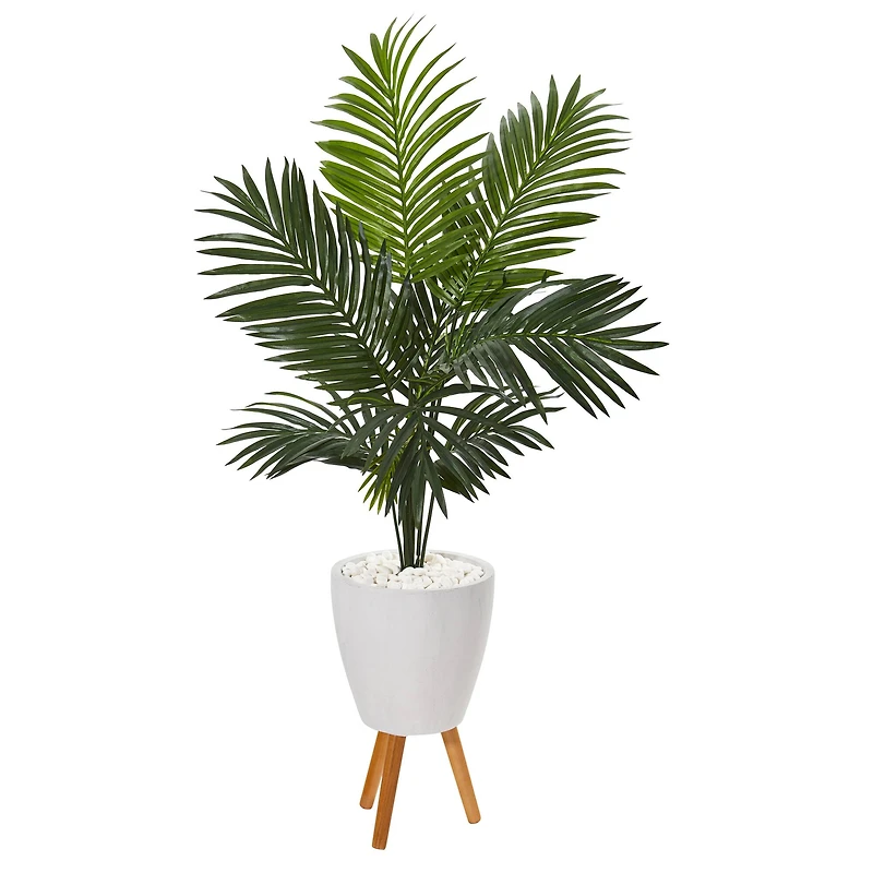 5ft. Paradise Palm Tree in White Planter with Wooden Legs