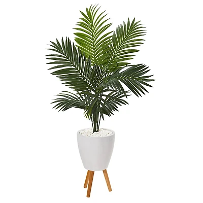 5ft. Paradise Palm Tree in White Planter with Wooden Legs