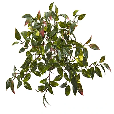 15" Mini Melon Plant, 6ct.