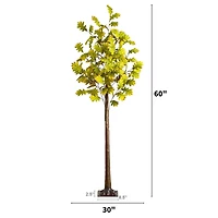 5ft. Pre-Lit Green Autumn Oak Artificial Fall Tree with 200 Warm White LED Lights