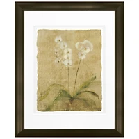 Timeless Frames® Small Orchids Framed Print Wall Art