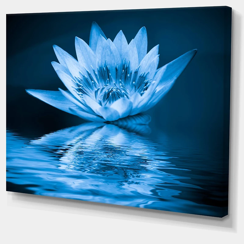 Designart - Blue Water Lily