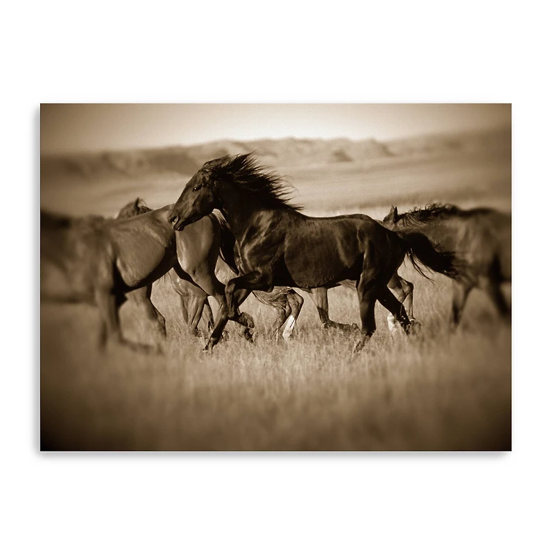 Dark Horse Canvas Giclee