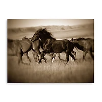 Dark Horse Canvas Giclee