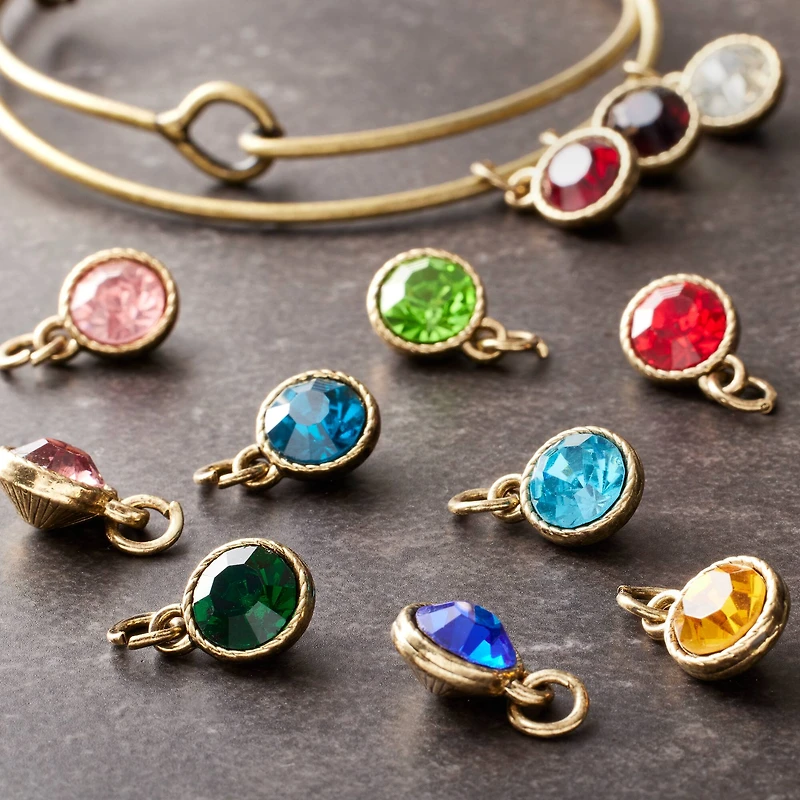 Dangling Crystal Charm Set By Bead Landing™