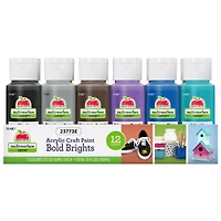 Apple Barrel® Acrylic Multi-Surface Satin Bold Brights 12 Piece Paint Set