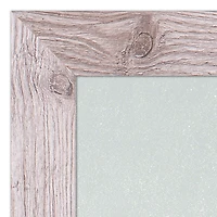 Tiger Picnic Western Framed Print