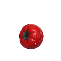 2.5" Tomato Timer by Ashland®