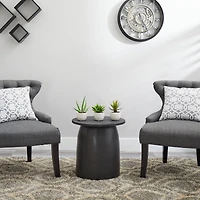 Potted Agave Plant Collection 3ct.