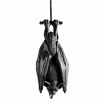 14.5" Hanging Black Bat by Ashland®