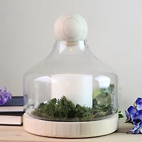 Transparent Glass Hurricane with Wooden Lid and Base