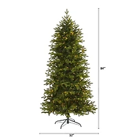 7ft. Pre-Lit Belgium Fir Artificial Christmas Tree, Clear LED Lights