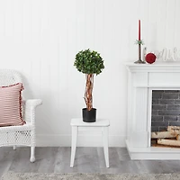 2.5ft. Potted English Ivy Topiary