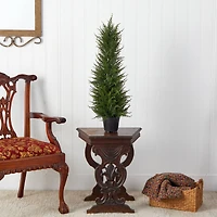2.5ft. Potted Cypress Tree