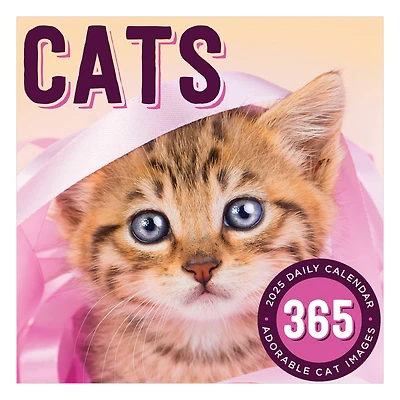 TF Publishing 2025 Cat A Day Daily Desktop Calendar