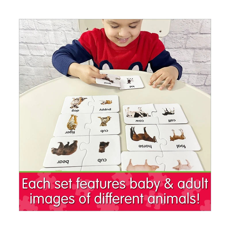 Match It! - Animal Families